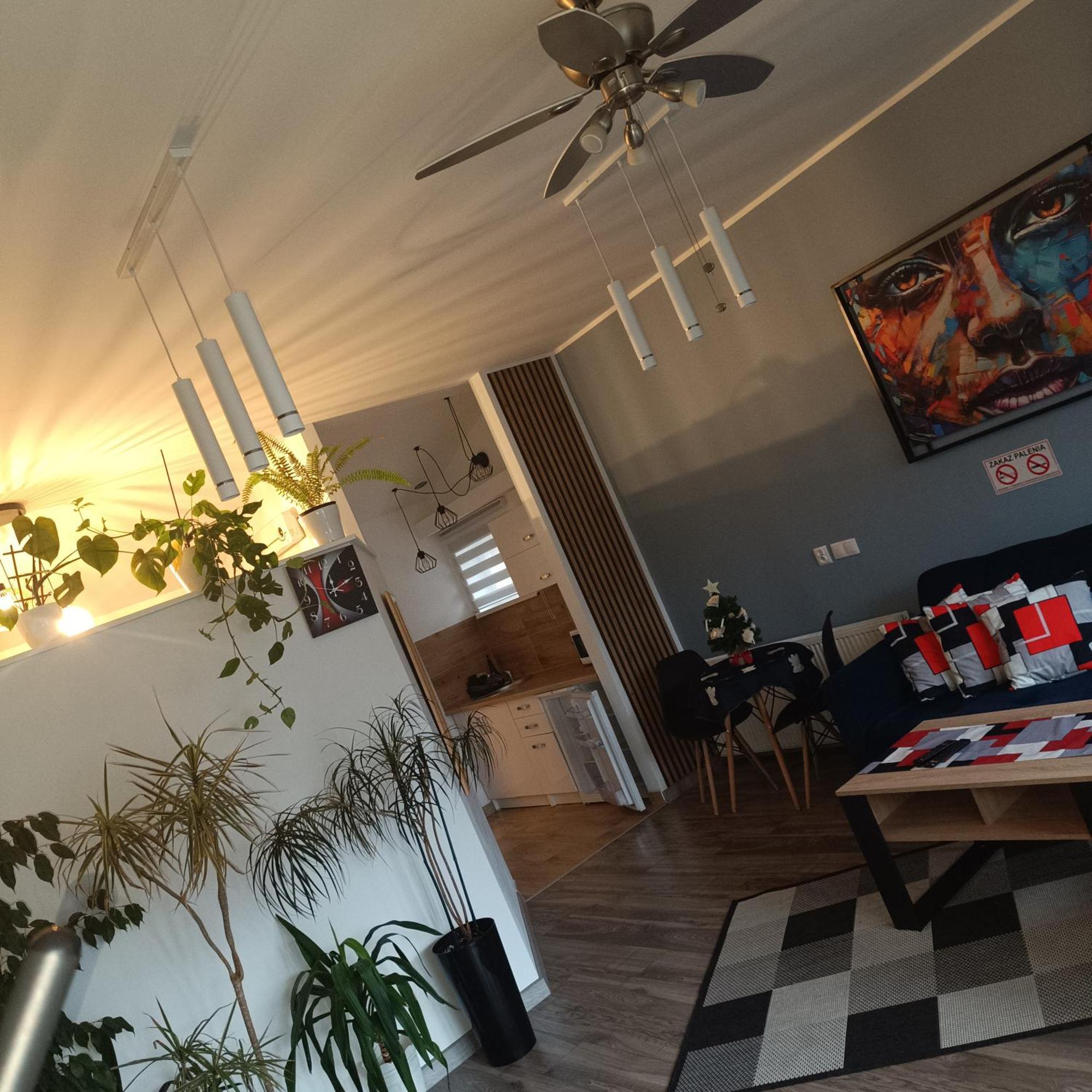 Apartament Przy Bialym Koniu Košalín Exteriér fotografie